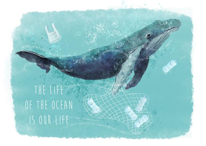 The life of the ocean is our life
